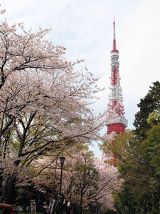 20110414_1530shuusei.jpg