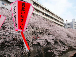 20110414_1553shuusei.jpg