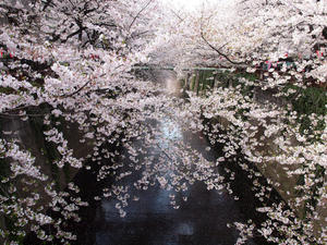 20110414_1564shuusei.jpg