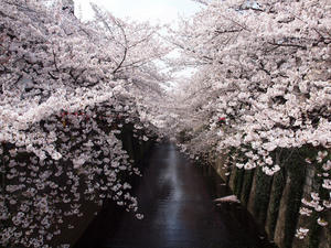 20110414_1572shuusei.jpg