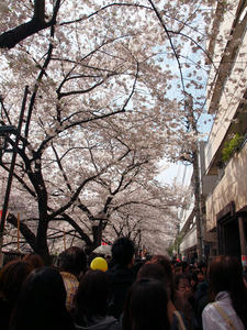 20110414_1578shuusei.jpg