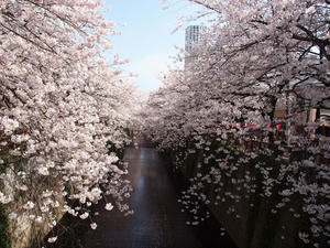 20110414_1580shuusei.jpg