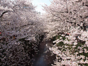 20110414_1614shuusei.jpg