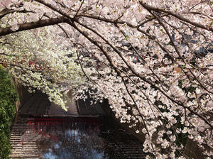 20110414_1627shuusei.jpg