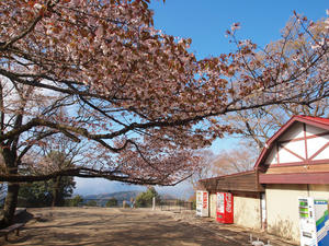 090shuusei.jpg