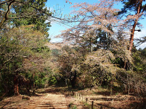 153shuusei.jpg