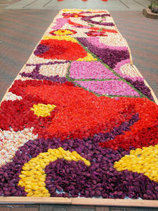 20110529_25shuusei.jpg