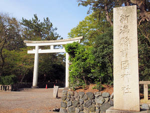 20110529_48shuusei.jpg