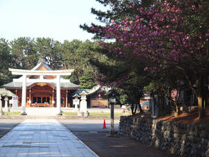 20110529_52shuusei.jpg