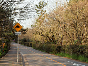 20110529_47shuusei.jpg