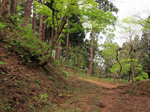 20110529_99shuusei.jpg