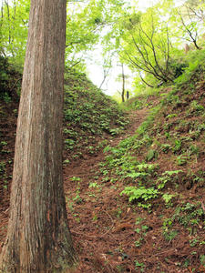 20110529_102shuusei.jpg