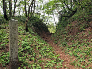 20110529_103shuusei.jpg