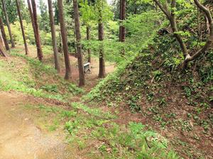 20110529_107shuusei.jpg