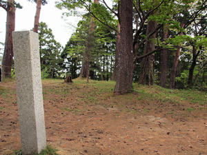 20110529_113shuusei.jpg