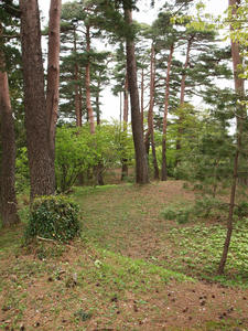 20110529_116shuusei.jpg