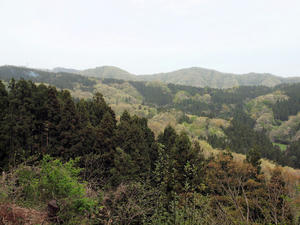 20110529_114shuusei.jpg