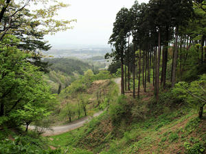 20110529_117shuusei.jpg