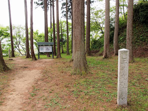20110529_126shuusei.jpg