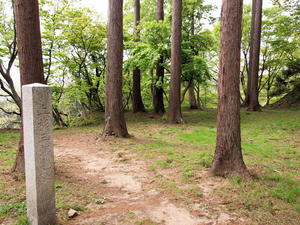 20110529_128shuusei.jpg