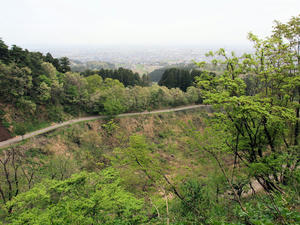 20110529_125shuusei.jpg