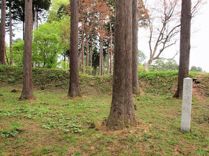 20110529_122shuusei.jpg