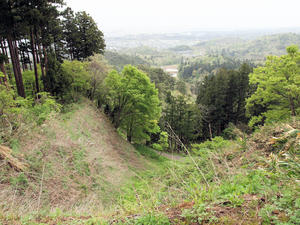 20110529_133shuusei.jpg