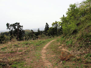 20110529_135shuusei.jpg