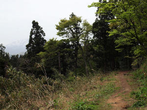 20110529_139shuusei.jpg