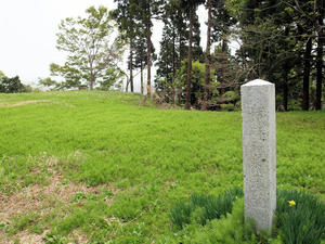 20110529_142shuusei.jpg