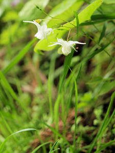 20110529_145shuusei.jpg