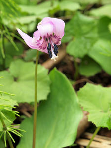 20110529_148shuusei.jpg