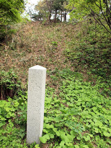 20110529_158shuusei.jpg