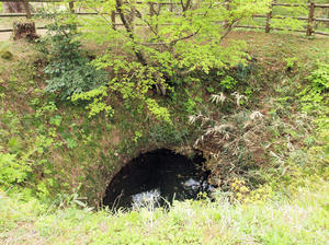 20110529_154shuusei.jpg