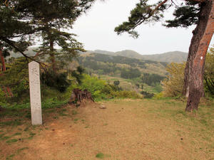 20110529_160shuusei.jpg