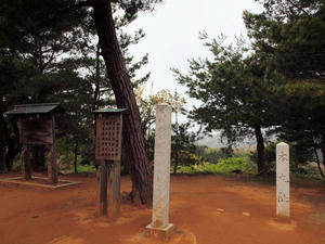 20110529_168shuusei.jpg