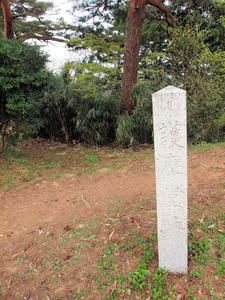20110529_177shuusei.jpg