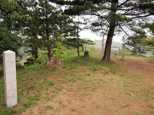 20110529_178shuusei.jpg
