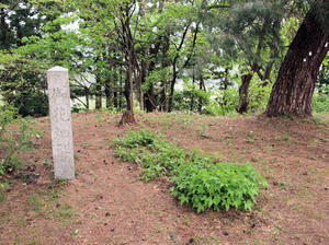 20110529_186shuusei.jpg
