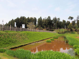 20110529_274shuusei.jpg