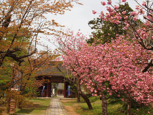 20110529_285shuusei.jpg