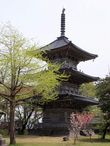 20110529_297shuusei.jpg