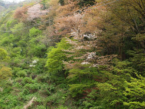 20110529_418shuusei.jpg