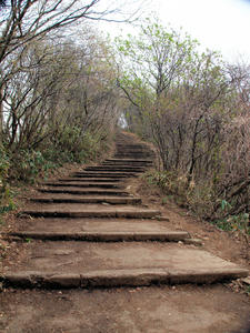 20110529_539shuusei.jpg
