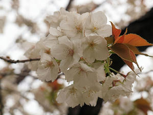 20110529_375shuusei.jpg