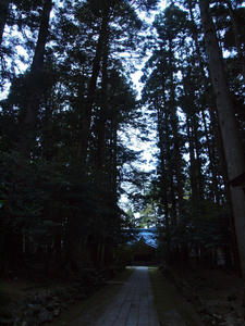 20110529_594shuusei.jpg