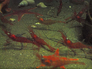 20110529_657shuusei.jpg