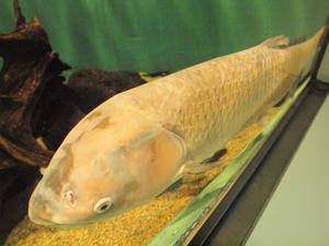 20110529_685shuusei.jpg