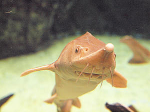 20110529_707shuusei.jpg