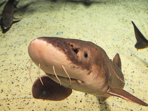 20110529_708shuusei.jpg